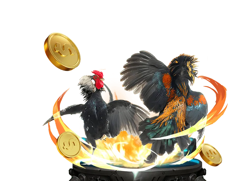 Người đang sử dụng các công cụ cá cược có trách nhiệm