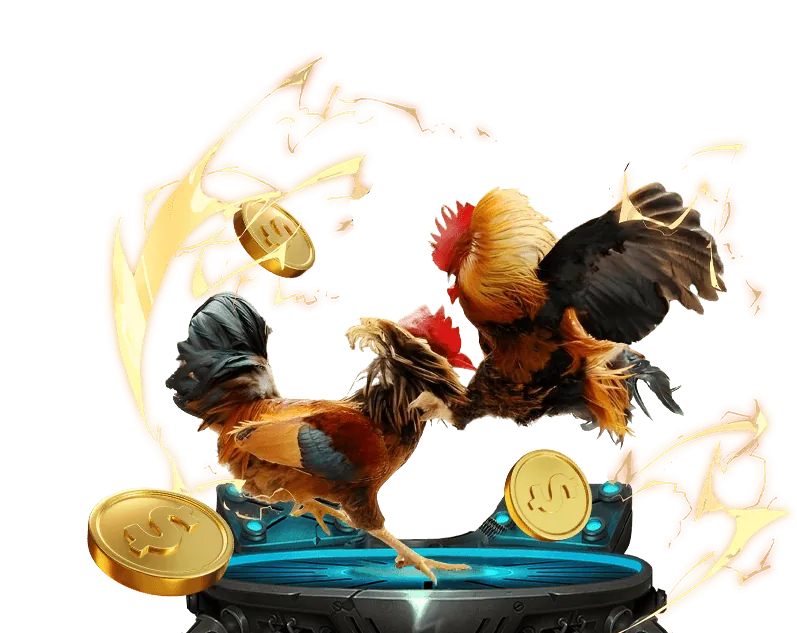 Quản lý vốn và tâm lý cá cược